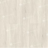 Alpine Floor Grand Sequoia LVT ECO 11-202