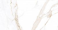 Azario  F3010821120G