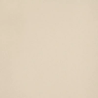 Leonardo Icon ICONCREAM120