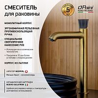 Paini Domus 18PJ205PZLL